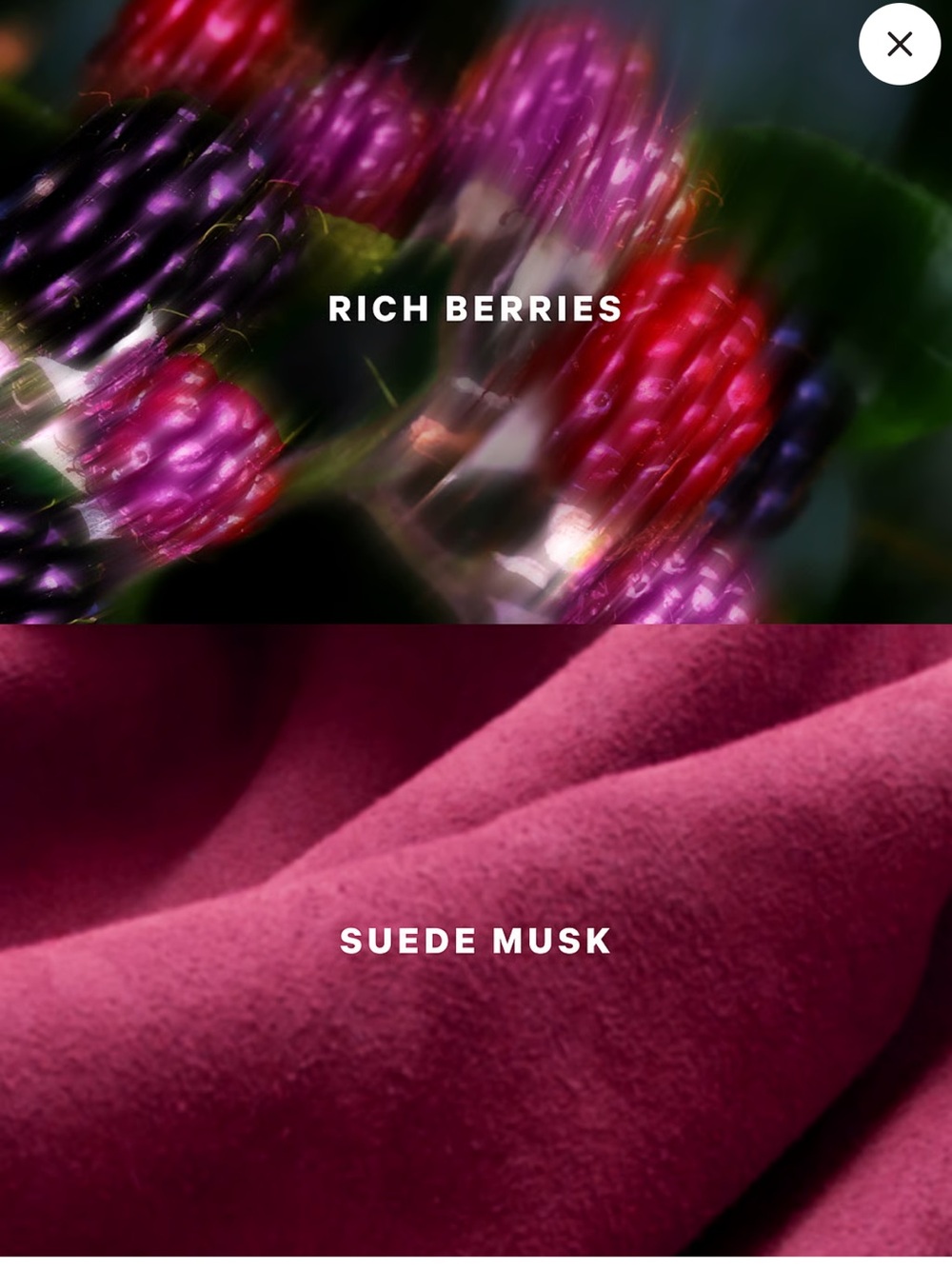 Suede Wonder VS Fragrance Lotion - Picture 2 of 5